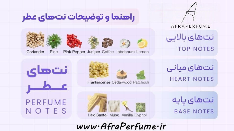 راهنمای انتخاب عطر و ادکلن بر اساس نت ها، گروه بویایی، مناسبت ها، فصول مناسب و طبع ها