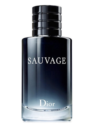 عطر ادکلن دیور ساواج - ساوج - ساواژ | Dior Sauvage