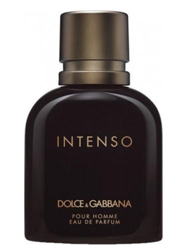 عطر ادکلن دی اند جی دلچه گابانا پور هوم اینتنسو | Dolce Gabbana Pour Homme Intenso
