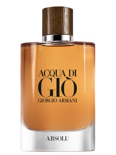 عطر ادکلن جورجیو آرمانی آکوا دی جیو ابسولو | Giorgio Armani Acqua Di Gio Absolu