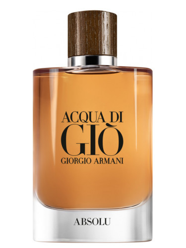 عطر ادکلن جورجیو آرمانی آکوا دی جیو ابسولو | Giorgio Armani Acqua Di Gio Absolu