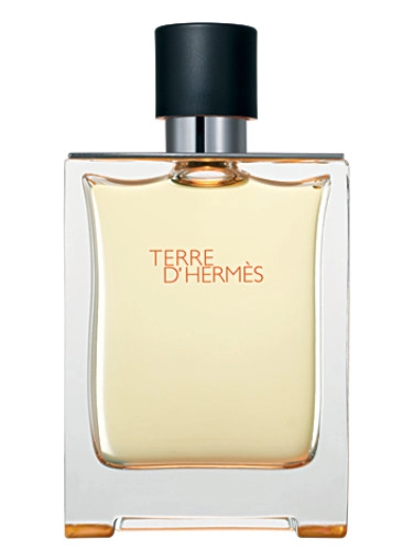 عطر ادکلن هرمس تق هرمس | Hermes Terre d’Hermes 100 ml