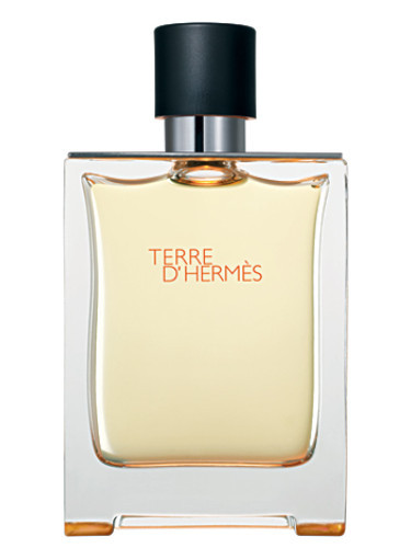 عطر ادکلن هرمس تق هرمس | Hermes Terre d’Hermes 100 ml