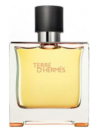 عطر ادکلن هرمس تق هرمس پرفیوم | Hermes Terre d’Hermes Parfum 75 ml