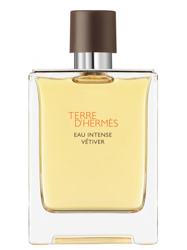 عطر ادکلن هرمس تق هرمس او اینتنس وتیور | Hermes Terre D’Hermes Eau Intense Vetiver