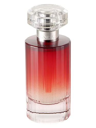 عطر ادکلن لانکوم مگنیفیک | Lancome Magnifique