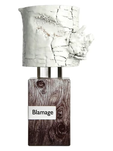 عطر ادکلن ناسوماتو بلاماج | Nasomatto Blamage