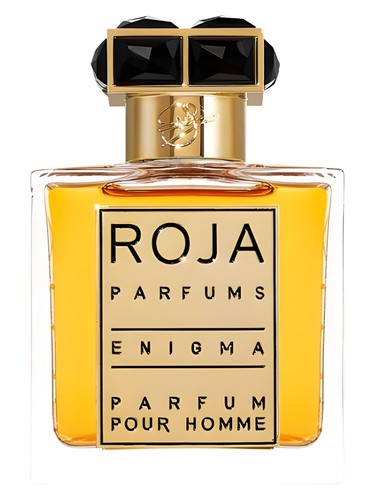 عطر ادکلن روژا داو انیگما پورهوم |  Roja Dove Enigma Pour Homme Parfum