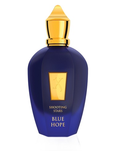 عطر ادکلن زرجف-زرجوف بلو هوپ | xerjoff Blue Hope