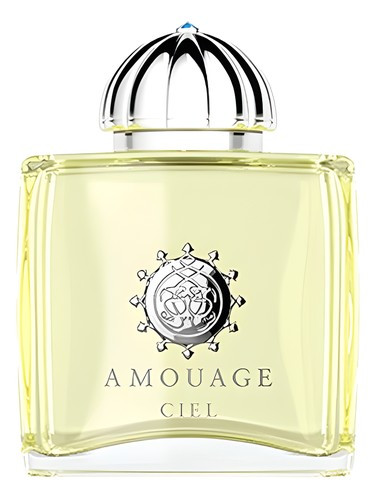 عطر ادکلن آمواج سیل مردانه | Amouage Ciel Man