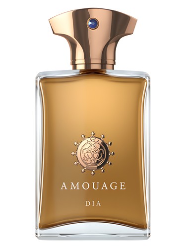 عطر ادکلن آمواج دیا مردانه | Amouage Dia Man
