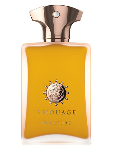 عطر ادکلن آمواج اورتور مردانه | Amouage Overture Man