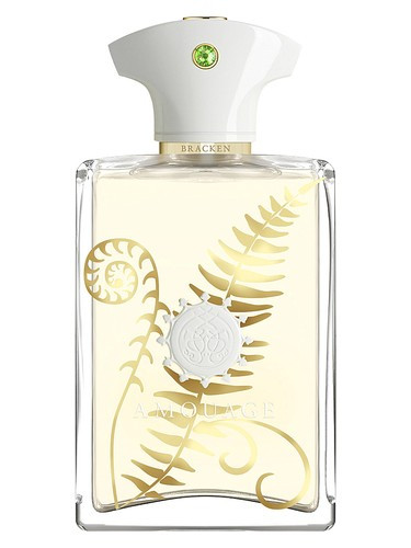 عطر ادکلن آمواج براکن مردانه | Amouage Bracken Man