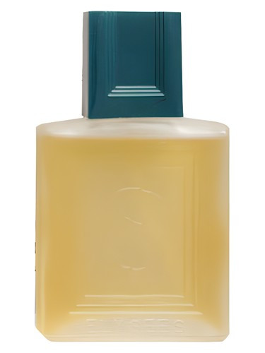 عطر ادکلن دلار پاریس الیسیس مردانه | Dollar Paris Elysees