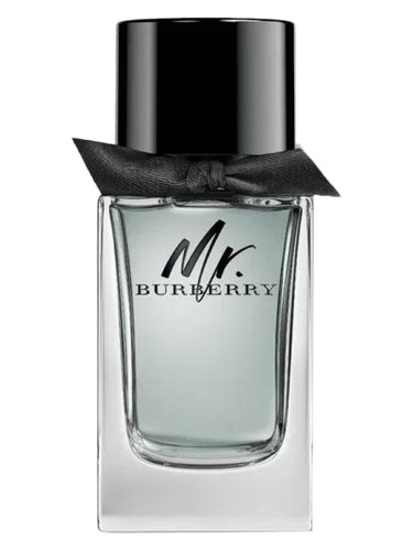 عطر ادکلن مستر باربری مردانه | Mr Burberry Men