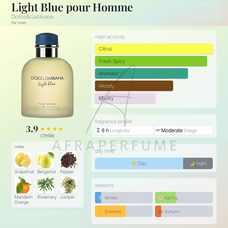 عطر ادکلن دلچه گابانا لایت بلو پورهوم | Dolce Gabbana Light Blue pour Homme