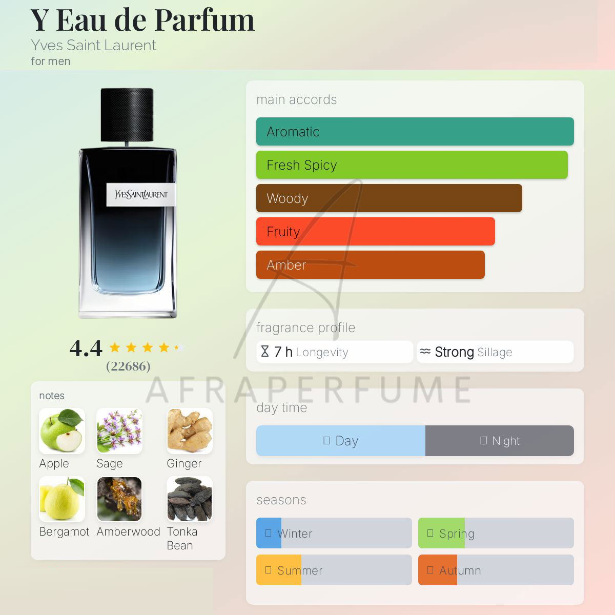 عطر ادکلن ایو سن لورن وای | Yves Saint Laurent Y