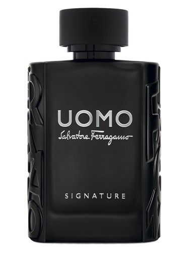 عطر ادکلن سالواتوره فراگامو اومو سیگنیچر | Salvatore Ferragamo Uomo Signature