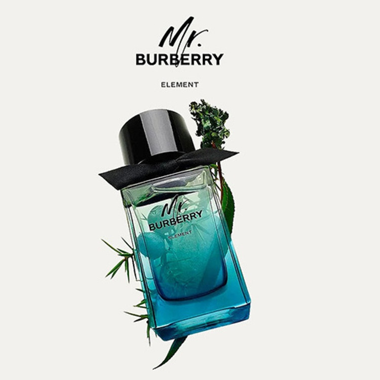 عطر ادکلن مستر باربری المنت Mr. burberry Element