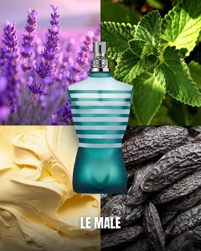 عطر ادکلن ژان پل گوتیه له میل | Jean Paul Gaultier Le Male