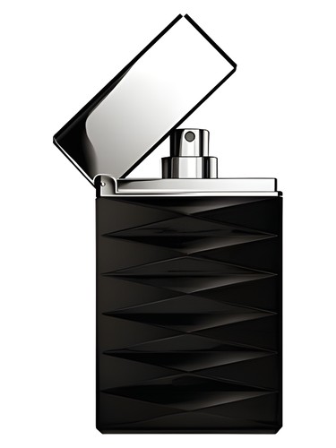 عطر ادکلن جورجیو آرمانی اتیتود | Giorgio Armani Attitude