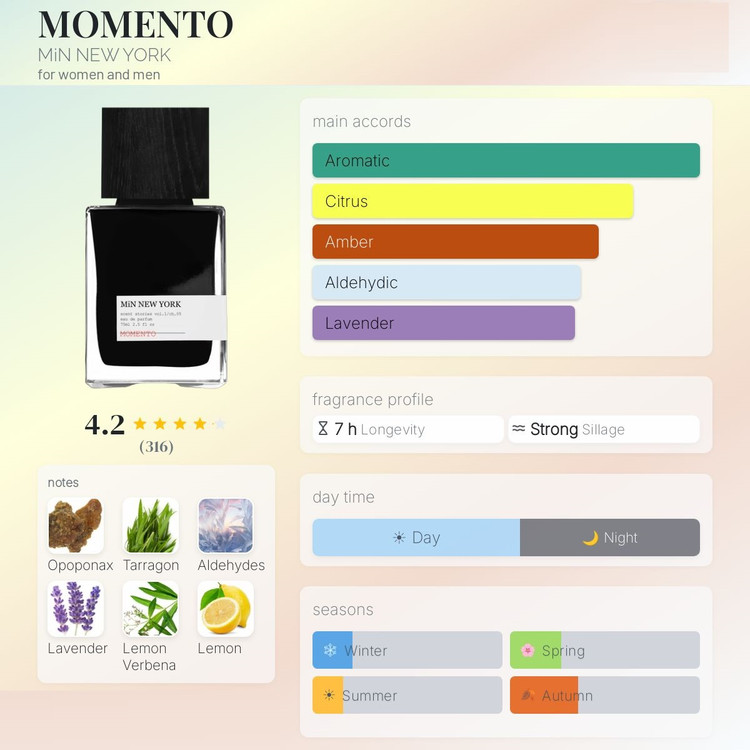 عطر ادکلن مین نیویورک مومنتو | MiN New York Momento